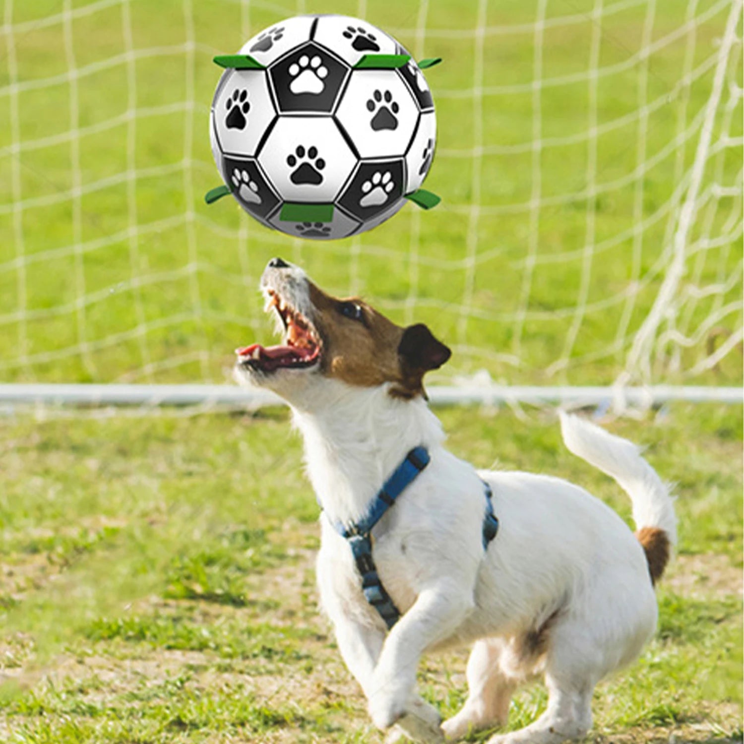 Dog Toy Ball Pet Ball Dog Training Soccer Ball Pet Toy Soccer Ball needles can be purchased separately
