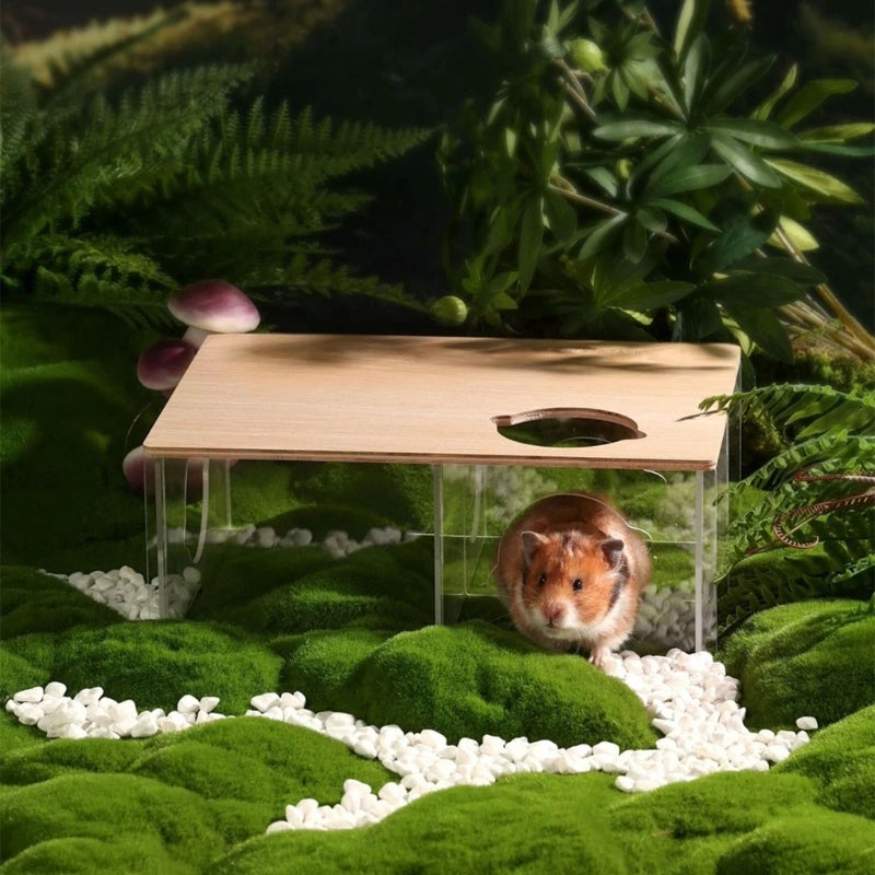 SandSpa™ Hamster Bath & Litter Pod