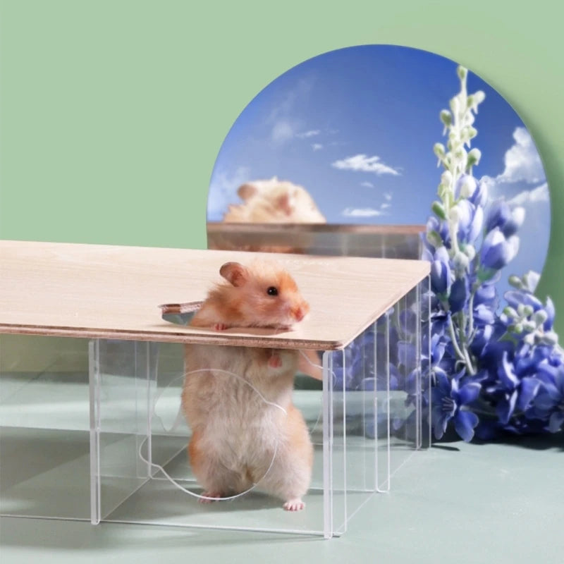 SandSpa™ Hamster Bath & Litter Pod