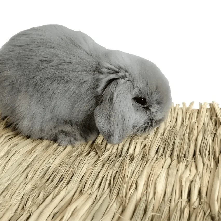 BunnyNest™ Natural Grass Mat – The Cozy, Chewable Hideaway